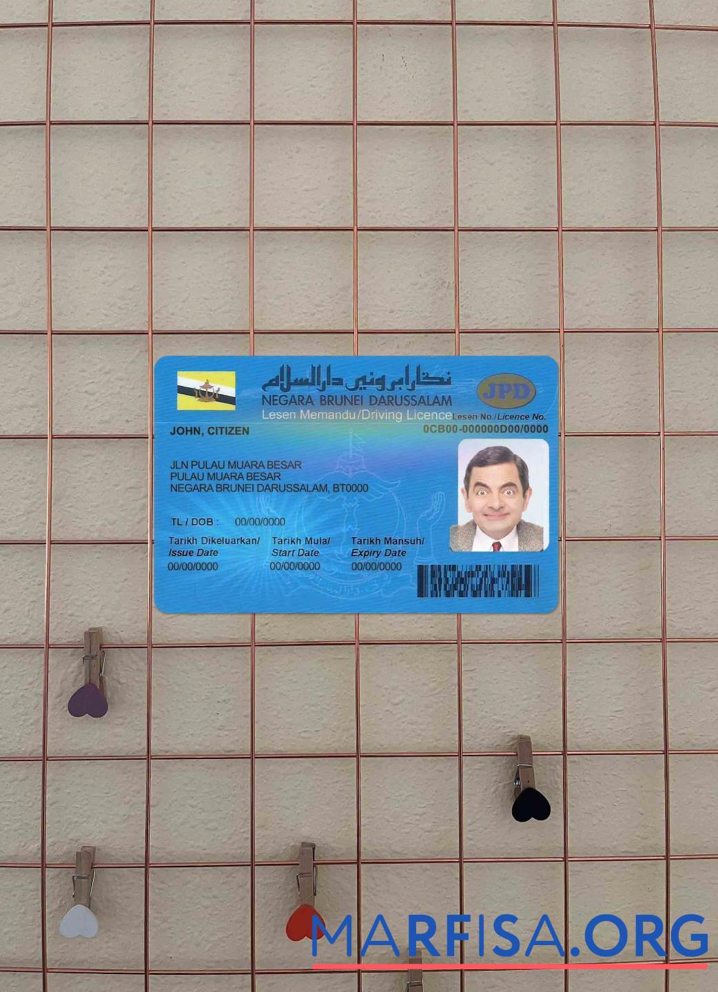 Realistic Brunei driving license photolook sample